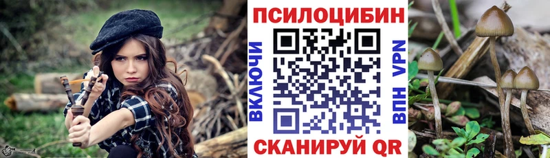 Галлюциногенные грибы GOLDEN TEACHER  даркнет официальный сайт  Баймак 